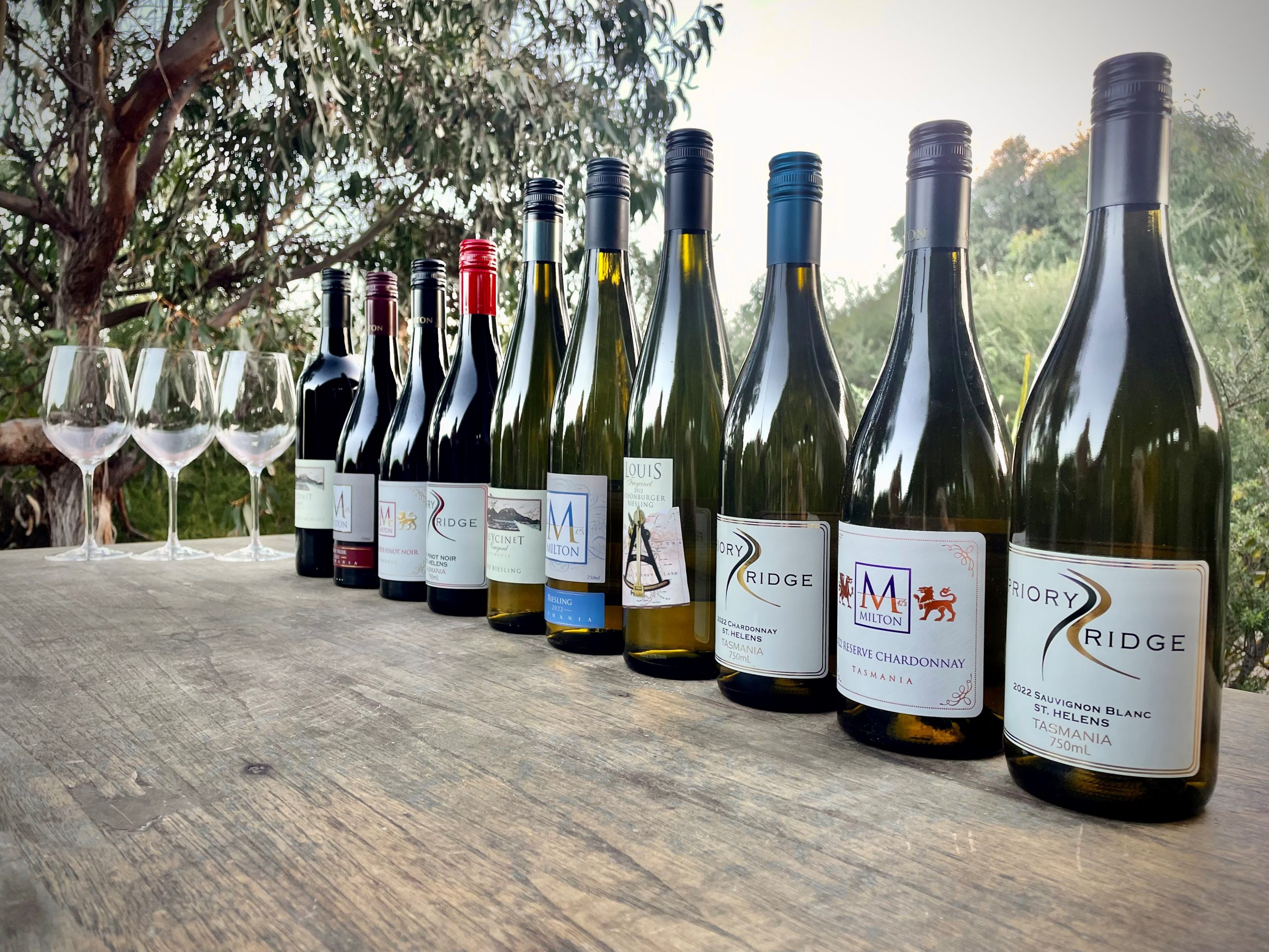 101 an Introduction to Wine Classes with Tasting & Lunch ECWT